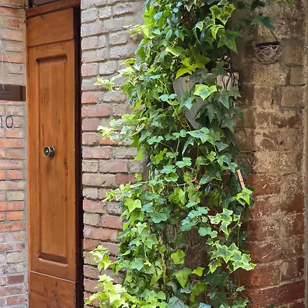 La Dimora Di *